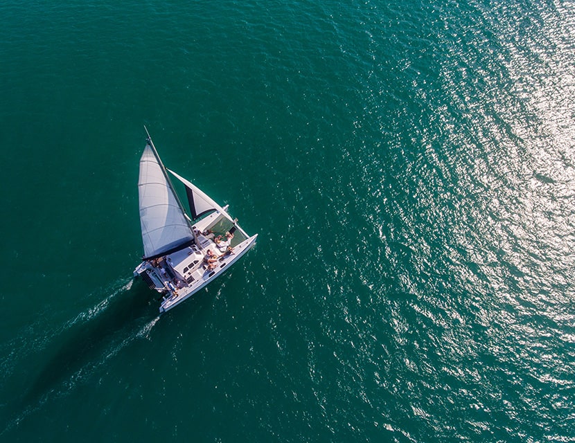 Catamaran Sailing