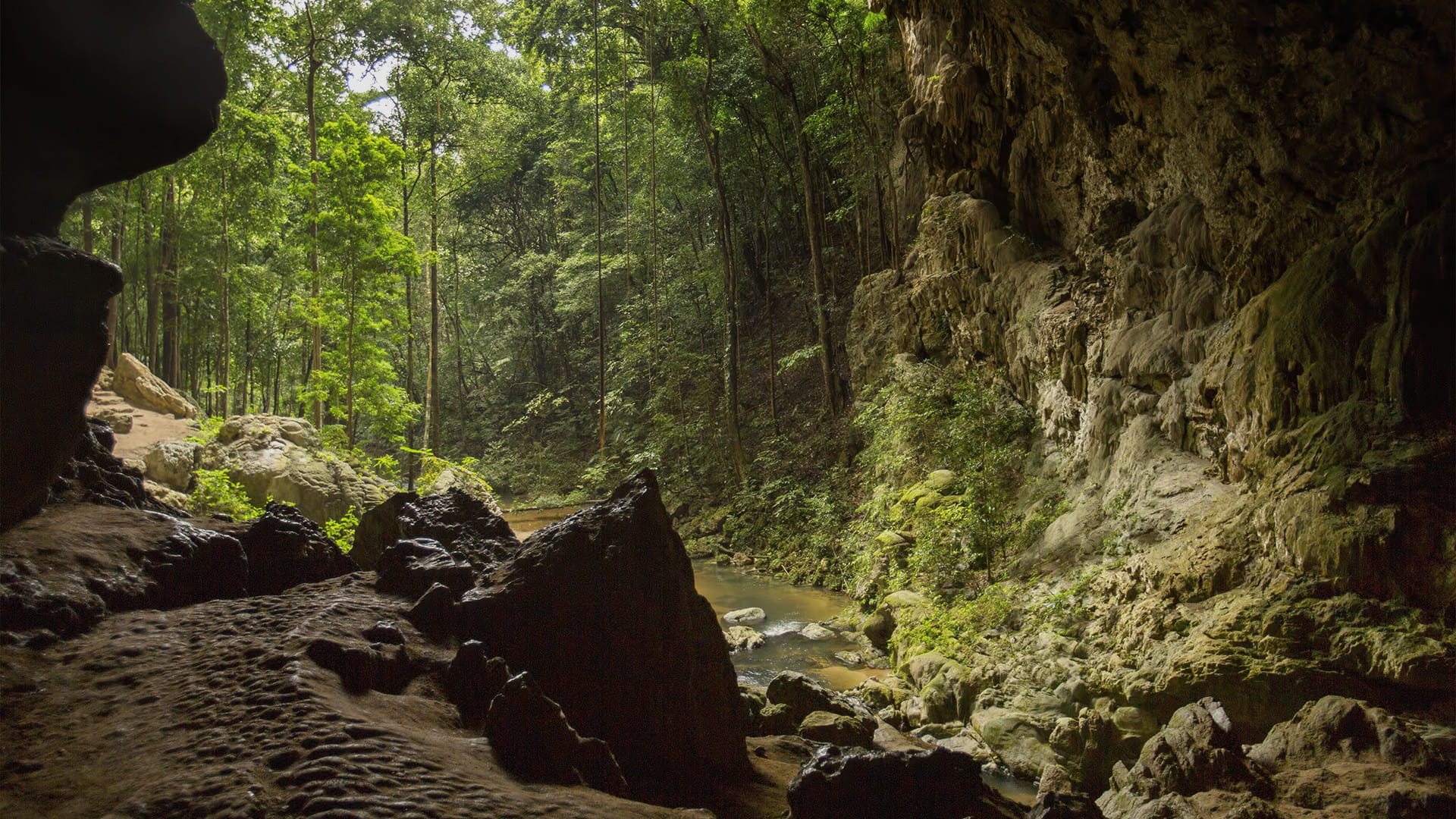 Rainforest Caves in Belize