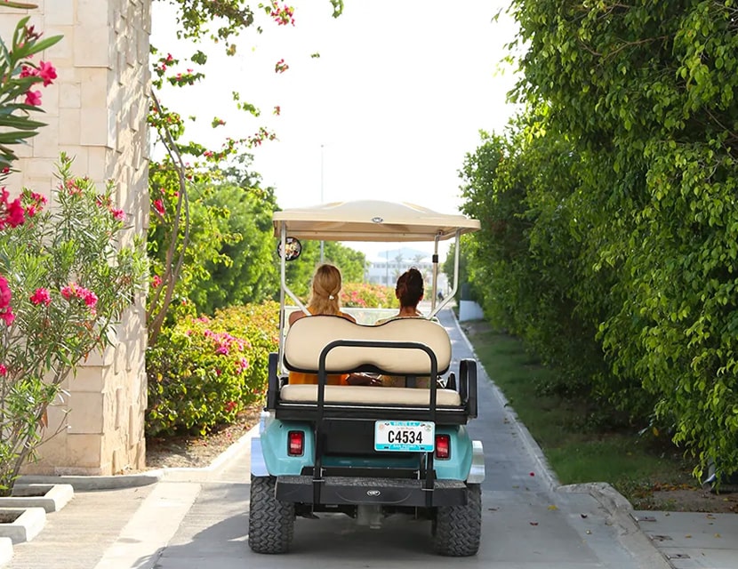 Couple in golf cart