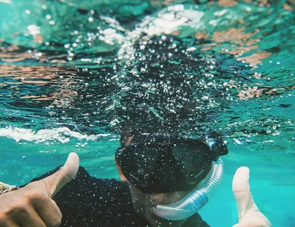 Snorkel in Shark Ray Alley at Mahogany Bay Resort _ San Pedro Ambergris Caye