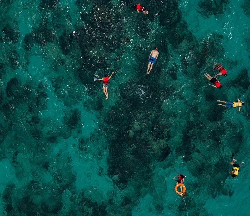 Snorkeling the Belize Barrier Reef at Mahogany Bay Resort _ San Pedro Ambergris Caye