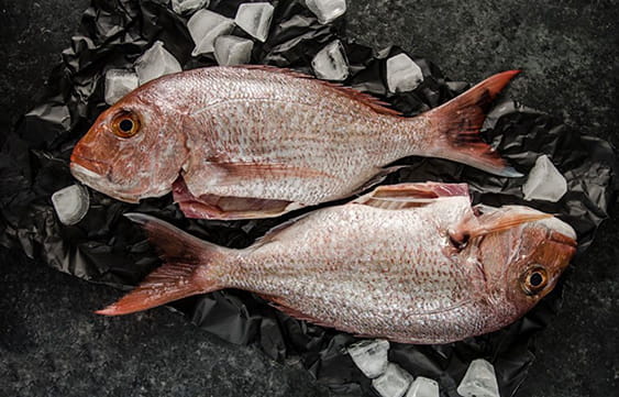 Fresh fish at seafood night at Mahogany Bay Resort & Beach Club